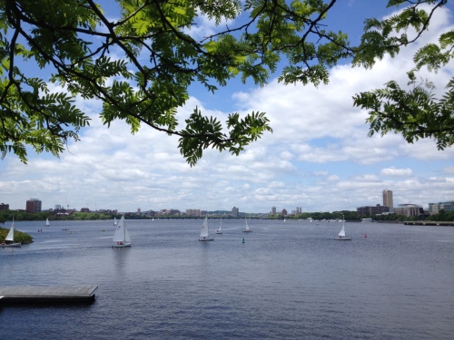 View from a walk along the Charles River in Boston.